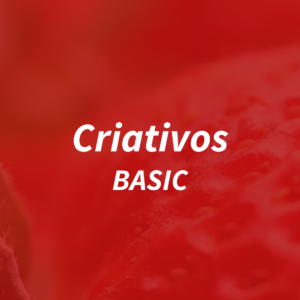 Criativos Digitais - Pacote Basic