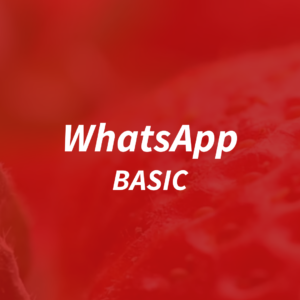 WhatsApp Business - Aprimoramento Basic