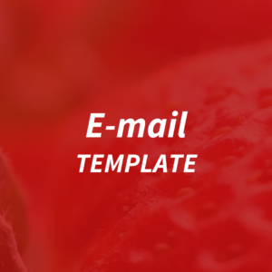 E-mail MKT - Template